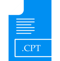 Cpt File Format Icon Fill Insidse With Symbol png