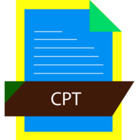 Cpt File Format Icon Modern Design png