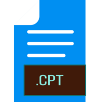 Cpt File Format Icon Outline And Fill png