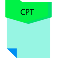 Cpt File Format Minimal Icon png