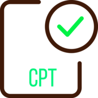 Cpt File Icon With Checked Mark png