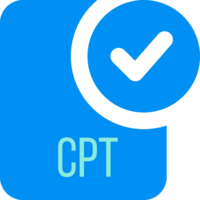 Cpt Ip File Icon With Black Checked Mark png