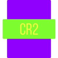 Cr2 Ip File Extension Icon Color Fill Outer Flat png