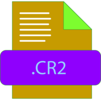 Cr2 File Extension Icon Insidse Fill With Lines Fill png