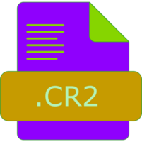 Cr2 File Extension Icon Fill With Minimal Colors png