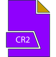 Cr2 File Format Icon In Shapes 2 Colors And Side Contour png