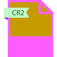 Cr2 File Format Icon Roe Color Fill png
