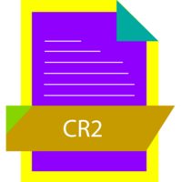 Cr2 File Format Icon Modern Design png
