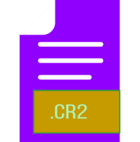 Cr2 File Format Icon Outline And Fill png