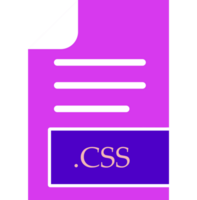 Css File Format Icon Fill Inside png