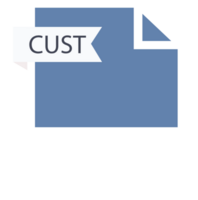 Cust File Format Icon Roe Color Fill png