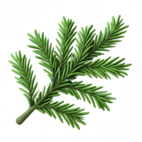 Realistic 3d icon of a lush green pine branch, isolated on a transparent background, perfect for festive designs or nature themed projects png