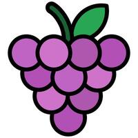 Grape Icon, Fruit and Vegetable Outline Flat Design Icon Symbol vector