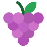 Grape Icon, Fruit and Vegetable Flat Design Icon Symbol vector