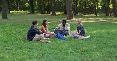 A group of students are sitting on the grass in the park. They are talking and smiling. Summer day photo