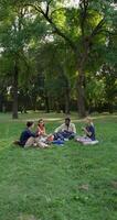 Picnic in the city park on a summer day. A group of young people are eating and talking while sitting on the grass photo