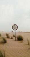 Abandoned road in the desert covered with sand. Speed limit road sign among sand dunes and sparse green vegetation. 4k , red komodo photo