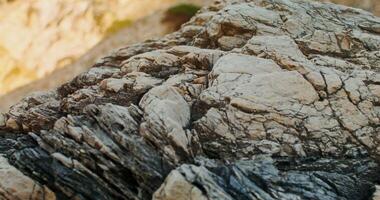 Close-up of a rock on the mountainside photo