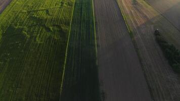The drone flies over the arable land. Flat strips of land and grass from a bird's eye view on a sunny day photo