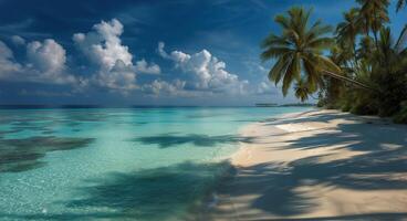 Tropical Beach With Palm Trees and Clear Blue Water Under a Partly Cloudy Sky photo