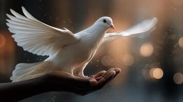 White Dove Takes Flight From a Persons Hand in a Peaceful Setting at Dusk photo