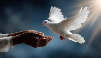 Dove Taking Flight From Open Hands in a Serene Setting Showcasing Peace and Connection photo