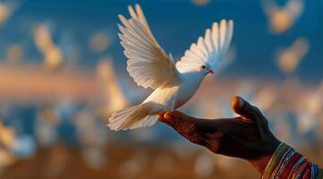 Dove Takes Flight From Hand at Sunset in Serene Outdoor Setting photo