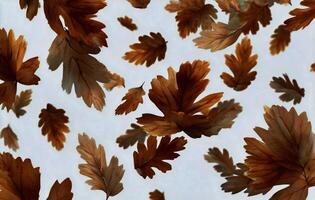 Autumn Leaves Floating Softly Against a Light Background in Peaceful Fall Ambiance photo