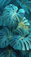Monstera Leaves in Vivid Turquoise Tones Create a Lush Tropical Ambiance in a Serene Indoor Garden photo
