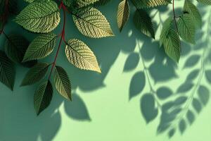 Bright Green Leaves Casting Delicate Shadows on a Light Green Surface in Natural Light photo