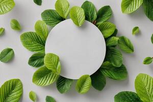 Green Leaves and Empty Circular Space for Creative Design in a Natural Theme photo