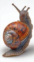 Colorful Snail With Intricate Shell Design Resting on Surface photo