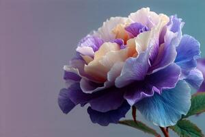 Elegant Purple Flower With Intricate Petals Displayed Against a Soft Pastel Background photo