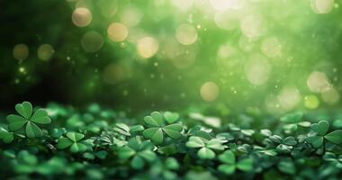 Lush Green Clover Leaves With Shimmering Bokeh Effect in a Tranquil Natural Setting photo
