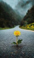 Bright Yellow Dandelion Growing Through Asphalt on a Winding Road Surrounded by Greenery photo