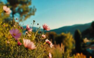 Breezy Afternoon in a Vibrant Garden Filled With Blooming Flowers and Rolling Hills photo