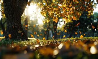 Autumn Leaves Fluttering Under Golden Sunlight in a Peaceful Park Setting photo