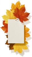 Fall Foliage Surrounds an Empty Card Frame for Seasonal Greetings and Messages photo