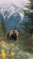 Brown Bear Roaming Through Wildflowers Near Snowy Mountains in Springtime Scenery photo