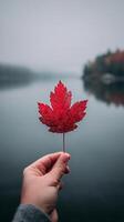 Hand Holding Vibrant Red Maple Leaf Near Tranquil Lake With Autumn Foliage in the Background. photo
