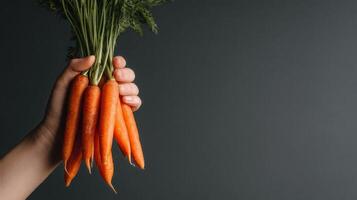 Freshly Harvested Carrots Held by a Hand Against a Dark Background in a Simple Composition photo