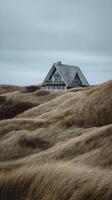 Quaint House Nestled Among the Rolling Hills of Golden Grass Under a Cloudy Sky photo