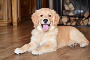 Happy Golden Retriever Puppy Sitting Indoors With a Playful Expression and a Bright Smile. photo
