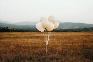 White Balloons Tied Together in a Field During Sunset With Mountains in the Background. photo