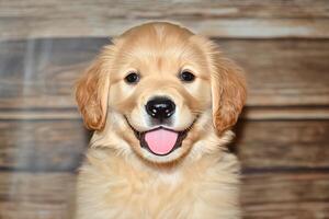 Happy Golden Retriever Puppy Resting on a Cozy Blanket in a Rustic Indoor Setting. photo