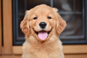 Happy Golden Retriever Puppy Sitting Indoors With a Playful Expression and a Bright Smile photo