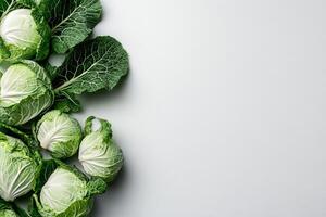 Fresh Green Cabbage Arranged on a White Background for Culinary Presentation and Inspiration. photo