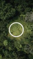 Unique Circular Sculpture Surrounded by Lush Greenery in a Serene Outdoor Setting. photo