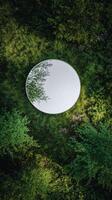 Reflective Circular Mirror Resting on Lush Green Grass in a Natural Outdoor Setting photo