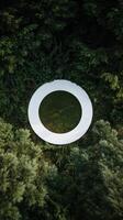 Unique Circular Sculpture Surrounded by Lush Greenery in a Serene Outdoor Setting photo